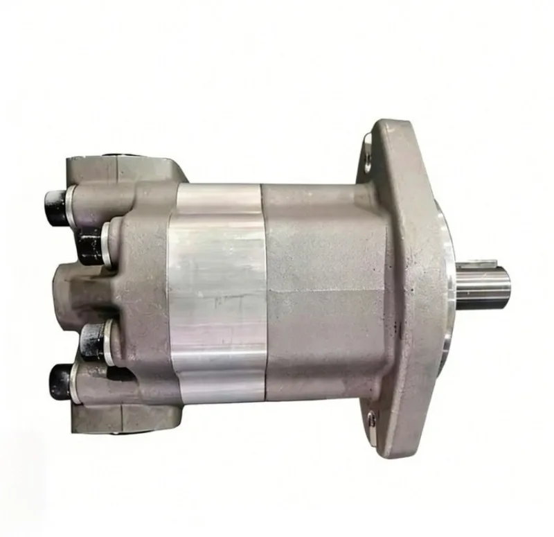 High Speed Gear Hydraulic Motor GM5-5-1FE13S-20 GM5-6-1FE13S-20 GM5-8-1FE13S-20 for Construction Machinery