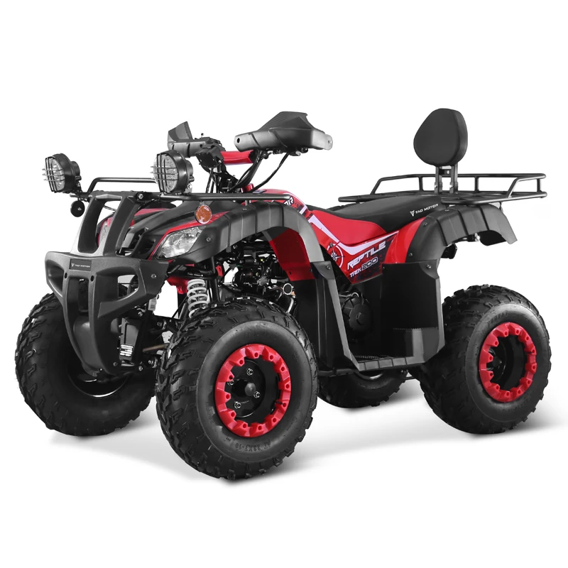 250cc 4 Stroke ATV Farm Use Side By Side Chain Drive Adult 2 Seat