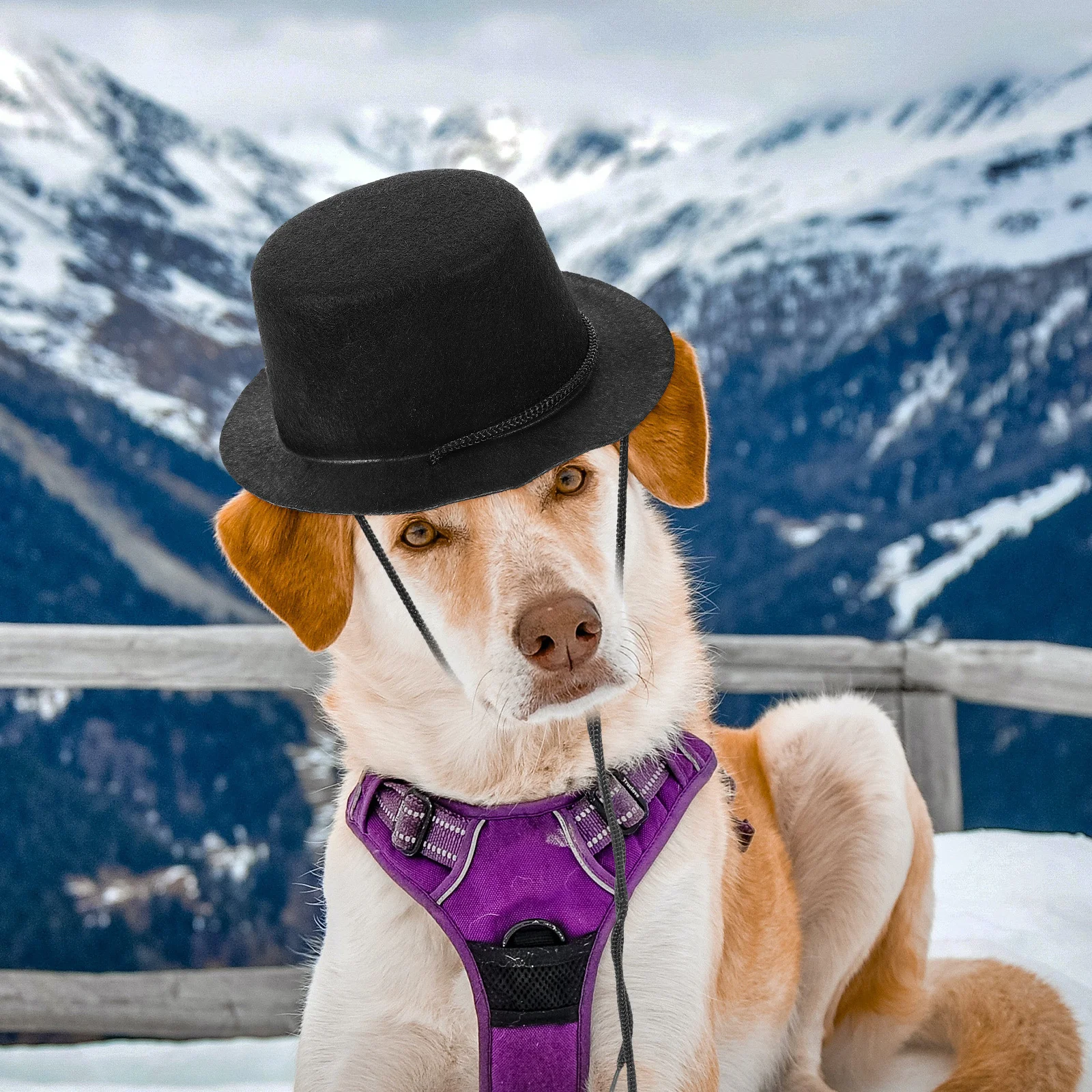 

2Pcs Pet Party Hats Adjustable Soft Breathable Puppy Cat Hat Festival Dog Hat for Photos Weddings Birthday Puppy Accessory