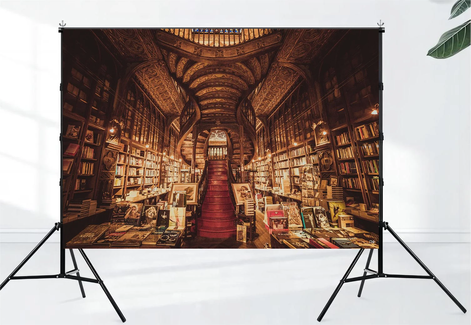 Library corridor photography background screen statue gorgeous ceiling panel medieval oil painting background party props