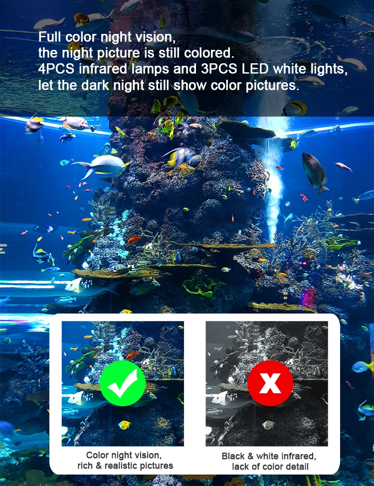 Aço inoxidável água doce Live Underwater Camera para a pesca, IP68, 304