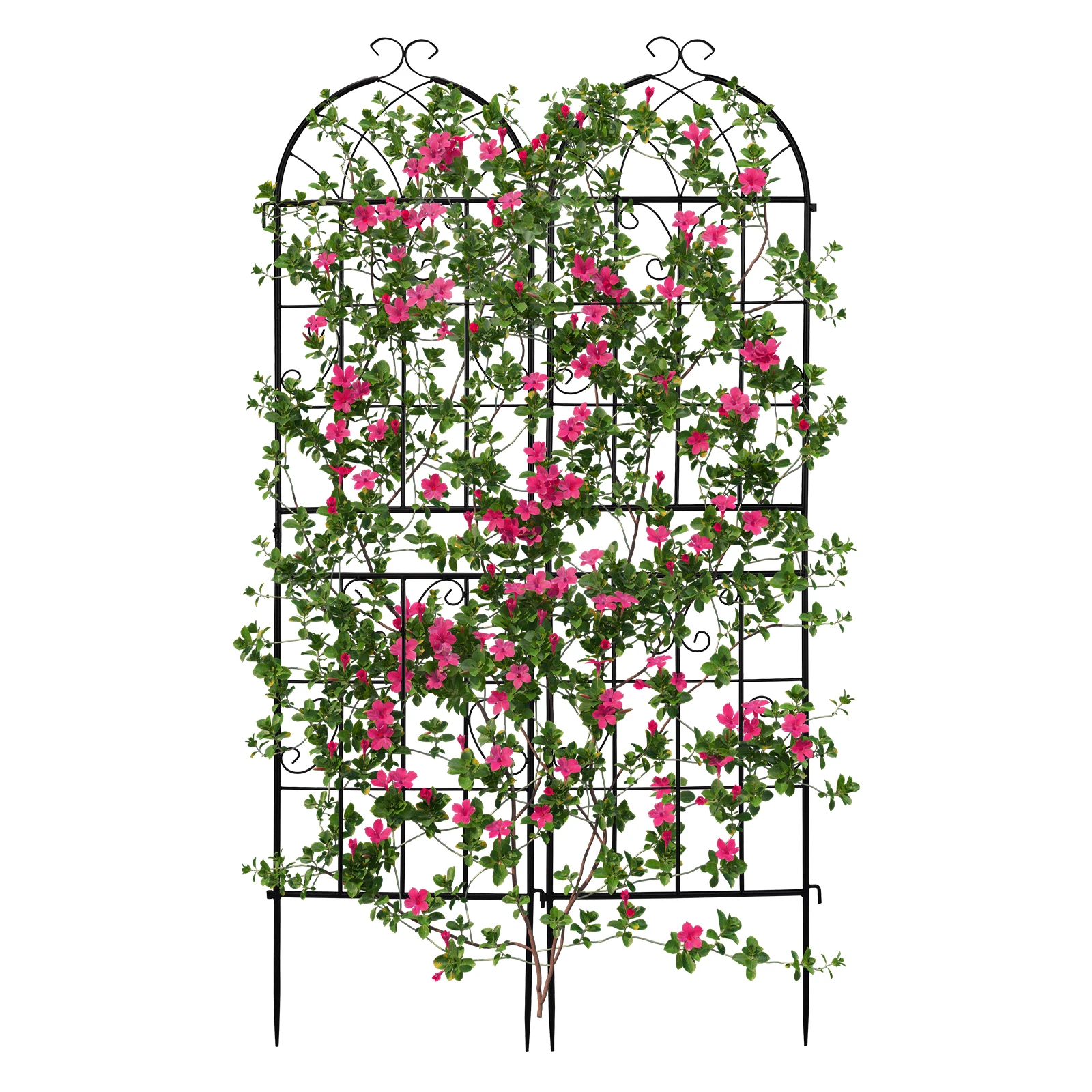

2 Pack 16" x 61" Rustproof Iron Garden Trellis