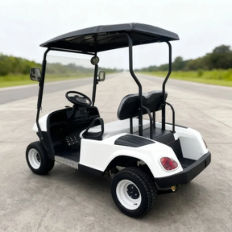Customized High Performance 60V 72V Lithium-ion Battery Electric Golf Cart Side Mirror With Turning Light Chair White Leather