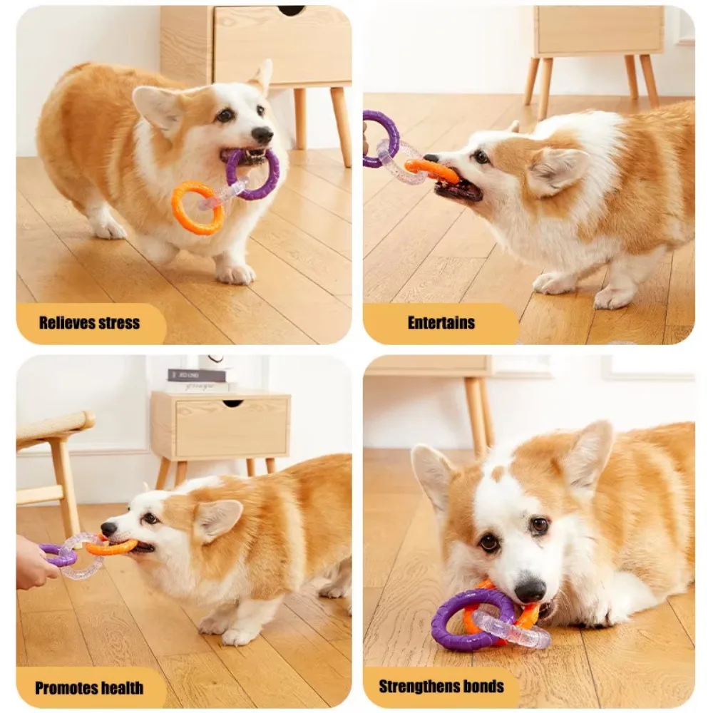 Hundehohles Ballspielzeug, Gummi-Kauspielzeug für Hunde, Reinigung der Zähne, Backenzahn, bissfestes Spielzeug mit Glocke, Welpen-Trainingsspiel – Detail 36