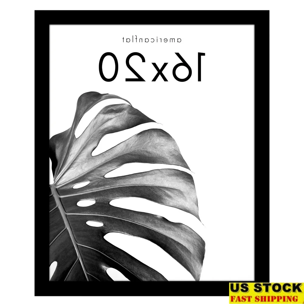 

Black Wooden Poster Frame with Plexiglass Cover Movie Posters Art Prints and Photos Wall Display Horizontal Vertical Mounting