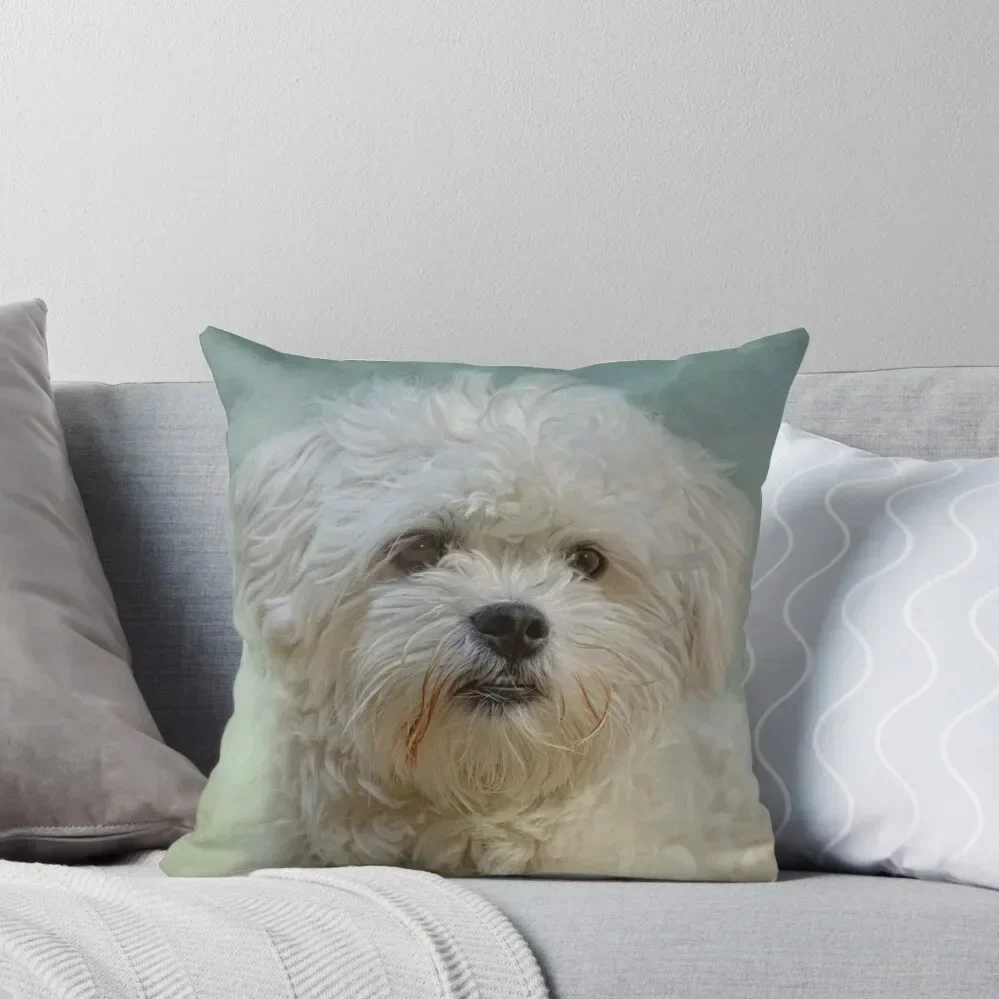 

Malteser Throw Pillow Sofa Cushions Covers christmas supplies pillow
