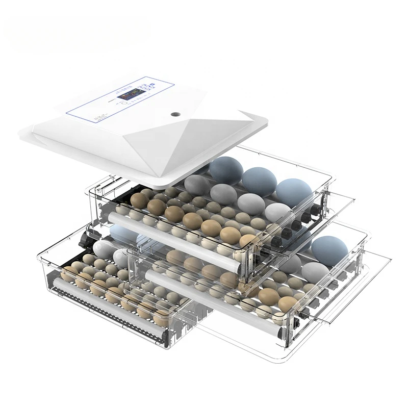 

Household 56 Eggs And Poultry Egg Hatching Machine Automatic Incubator