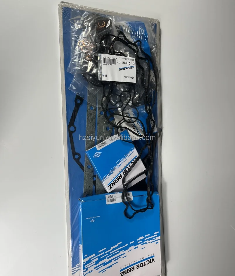 2025splendido per Volvo 15011856 per DEUTZ 02937588 02931662 REINZ 01-29061-03 Escavatore Parte del motore Macchine edili Const