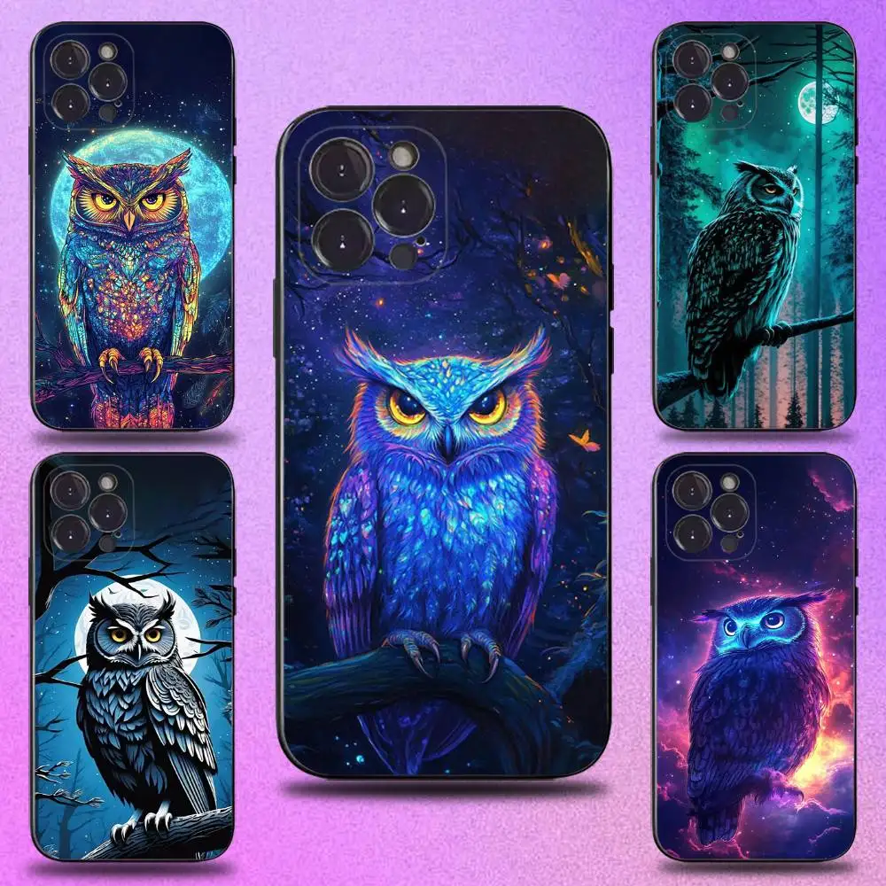 

Cute C-Colorful Owl B-Bird Phone Case For iPhone 17,16,15,14,13,12,11 Plus,Pro Max,XS,X,XR,SE,Mini,8,7,Soft Silicone Black Cover