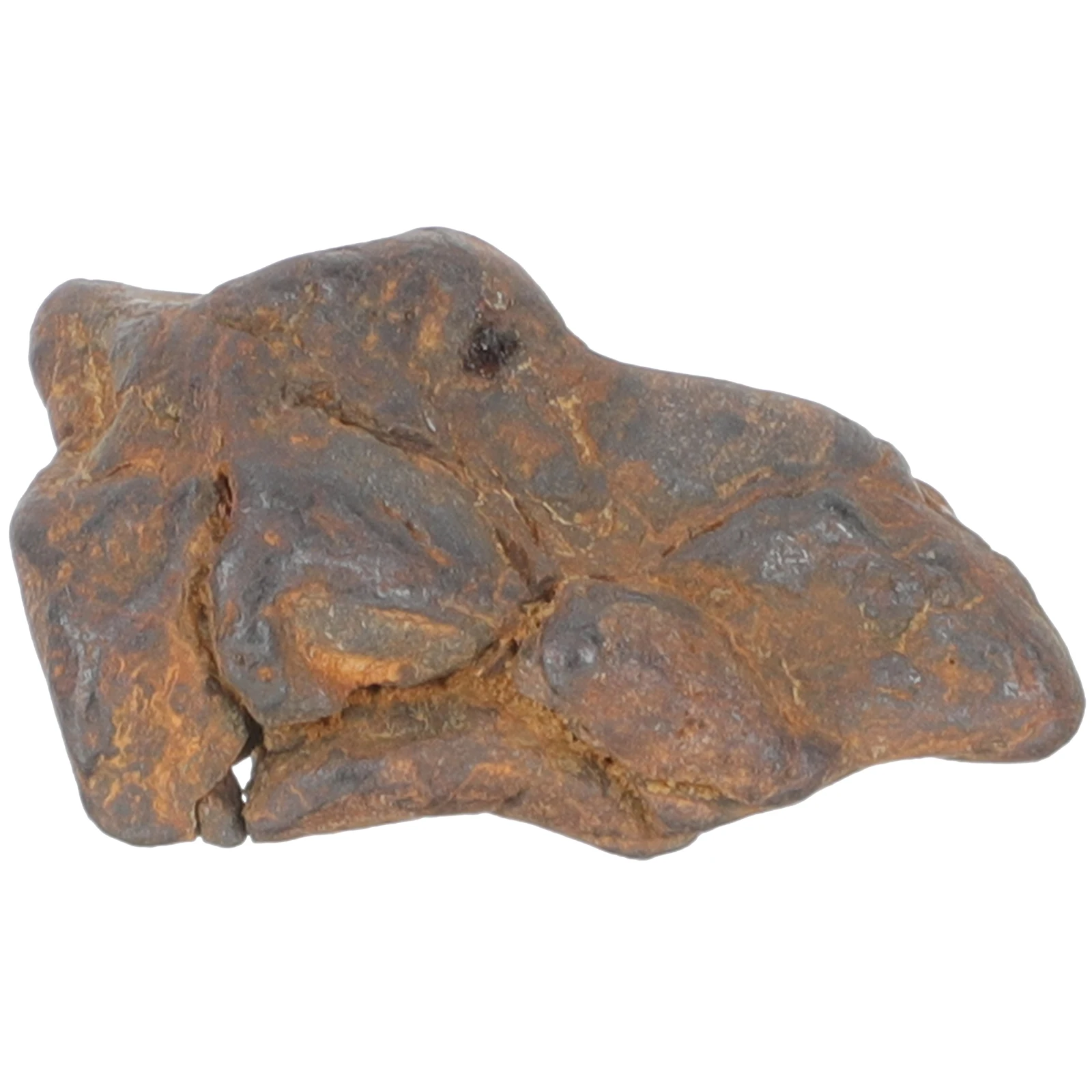 

Natural Meteorite Specimen Classroom Teaching Tool Desktop Ornament Science For Kids Educational Gift