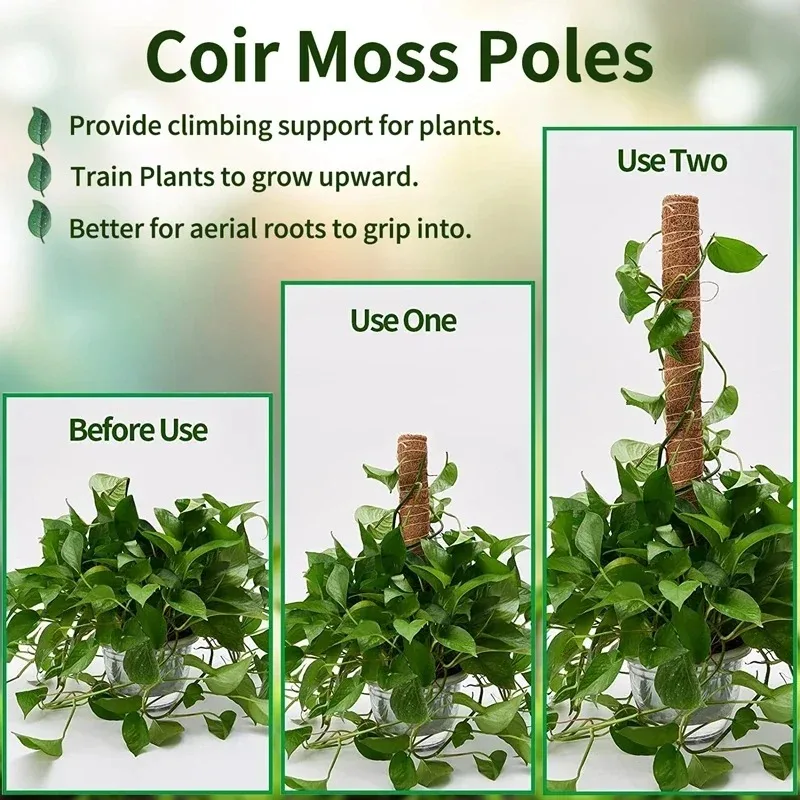 Plant Moss Coir Pole Bendable Plants Climbing Support Extension Palm Vines Stick Indoor Balcony Garden Courtyard Flower Decor