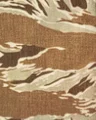 Desert tiger spot