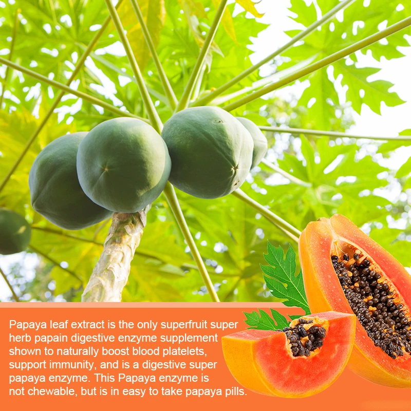 Papaya Leaf Extract Capsules Digestive Enzymes Bone Marrow & Spleen Support Healthy Platelets Immune Gut Health