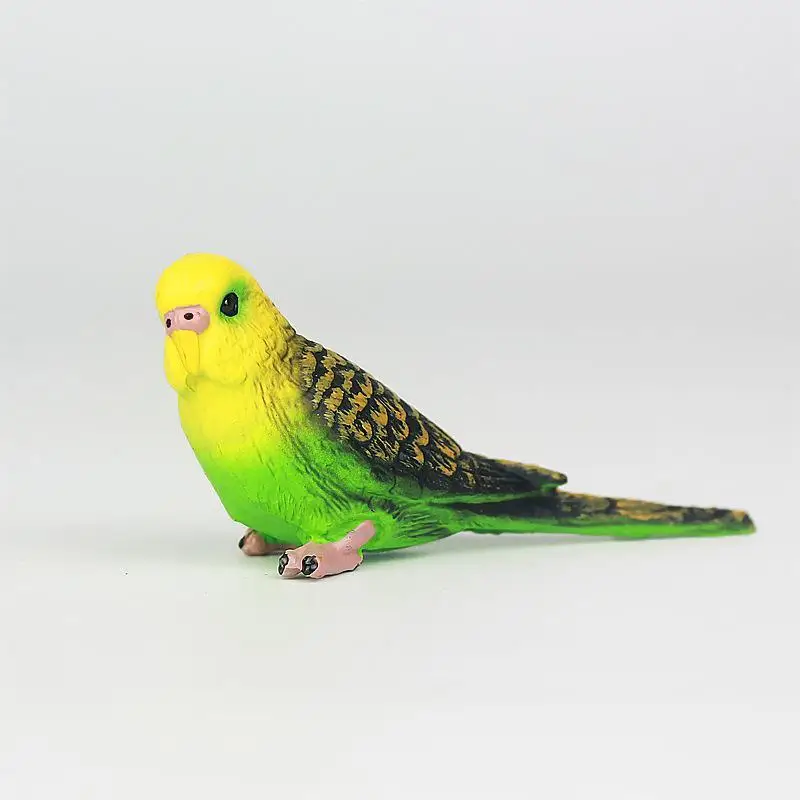 Simulated Wildlife Model Bird Parakeet Plastic Solid Children's Toy Science and Education Micro-landscape Ornament