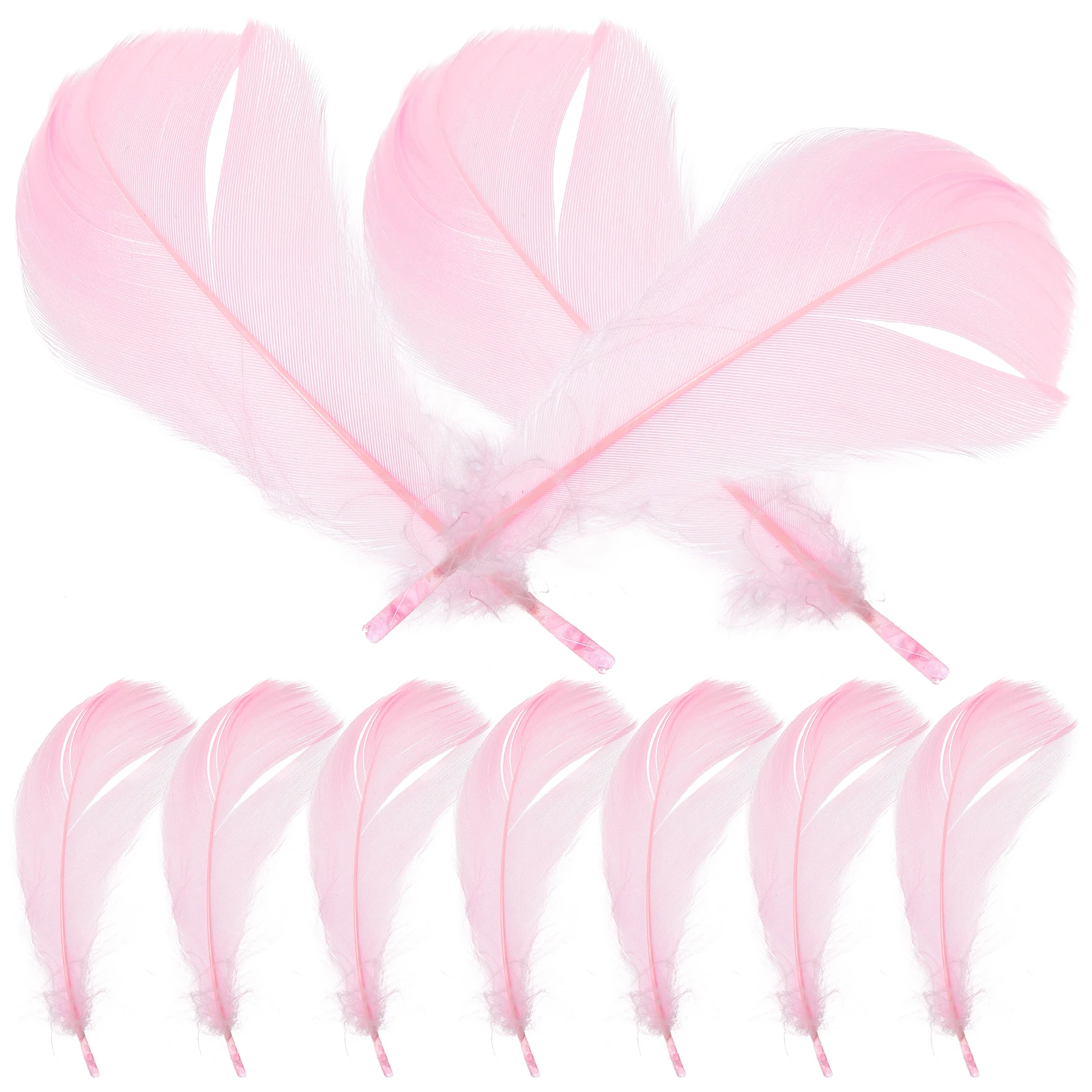 

15pcs Plume Small Jewelry Display Plumes Decorative Plume Decorations For Cosmetics Vanity Table Photography Background
