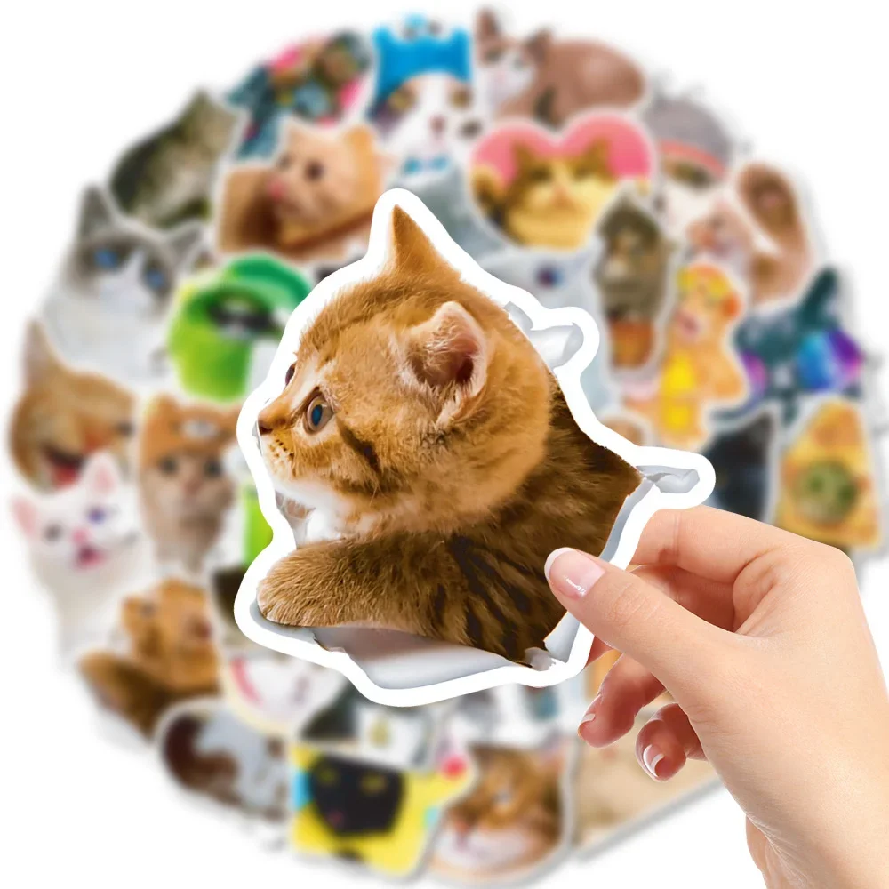 10/30/50PCS New Cat Animal Sticker Pack Cartoon Creative Animation iPad  Luggage Table Car Chair Decoration Waterproof Wholesale