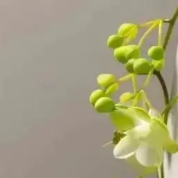 

18 В 9,0 Ач для Milwaukee M18, сменный литий-ионный аккумулятор для Milwaukee 18 В M18 48-11-2830 0730-20, аккумулятор для инструментов