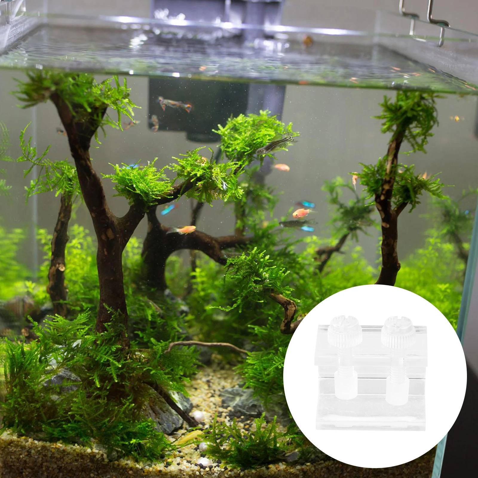 

2pcs Acrylic Clips Fish Tank Clamps Transparent Aquarium Mounting Fixtures For Backdrop Tortoise Tank Wall Easy Assembly