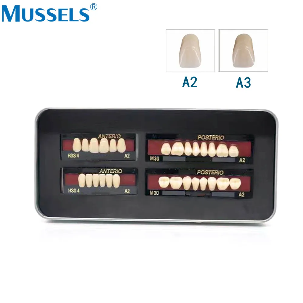 28Pcs/Kit Dental Denture Plastic Steel False Teeth Resin Porcelain Tooth Full Set Oral Materials Dentistry Anterior Posterior