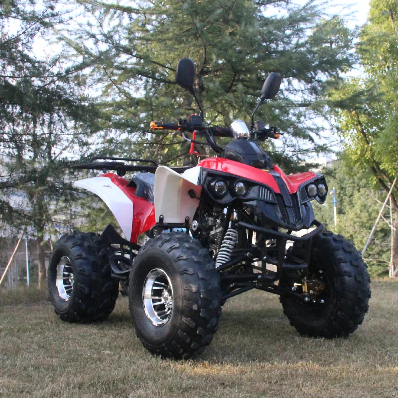 125cc 4-Stroke ATV Quad Bike Chain Drive 4-Wheeler Dune Buggy Off-Road Sports Fun for Adults