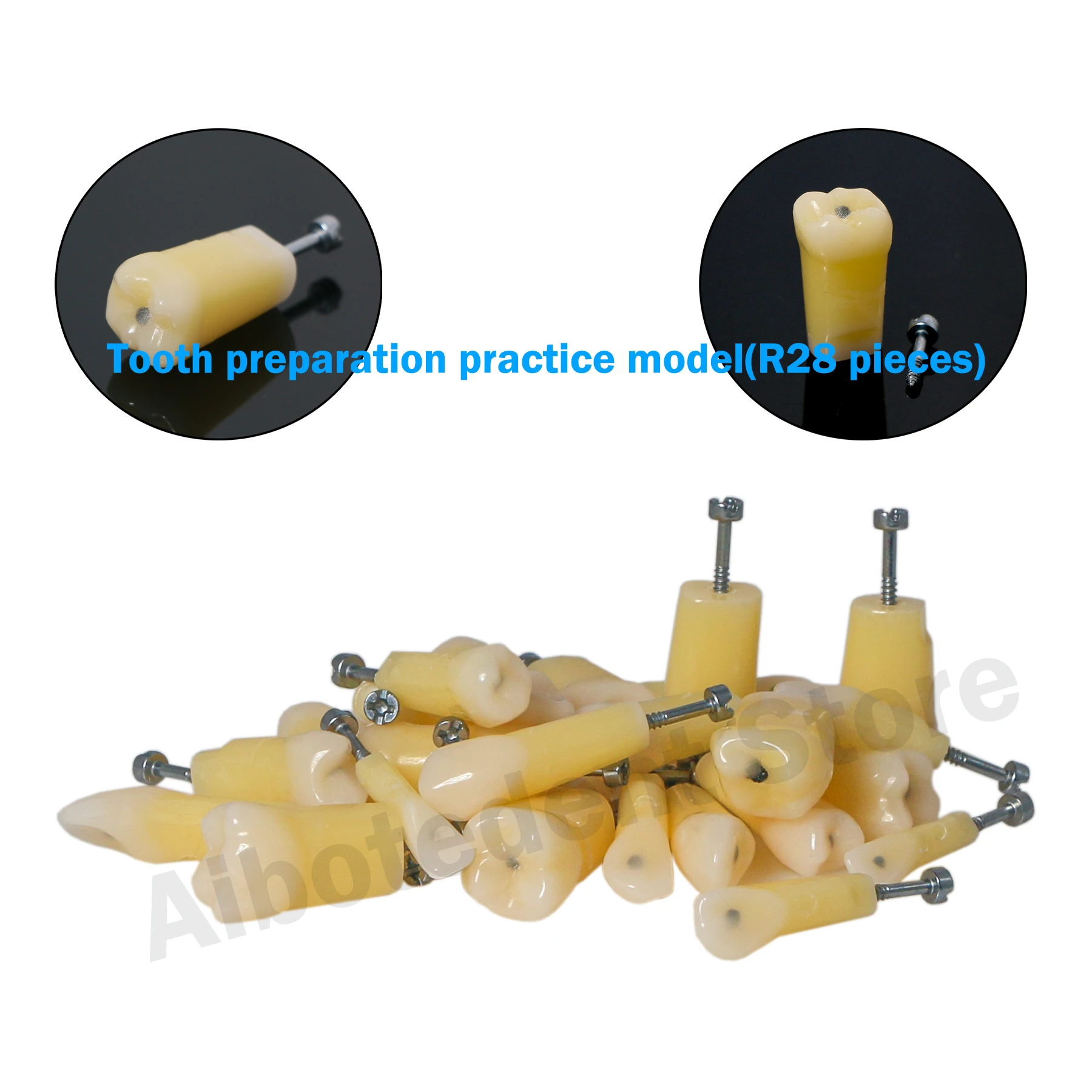 Dental Typodont Teeth Model with Caries Spots 28 Pieces Teeth Modle M8024-1 Fits Kilgore Nissin 200 Type