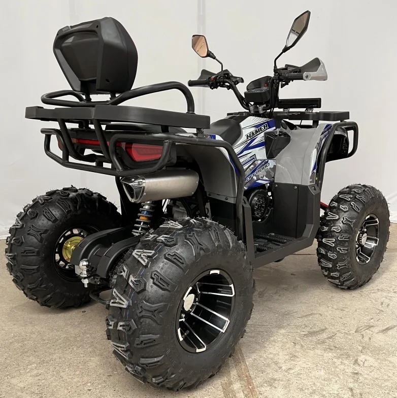 Jinlong250cc Factory Direct for Adults CE Certified Electric Start Automatic 4-Stroke 2WD ATV by Chain Drive