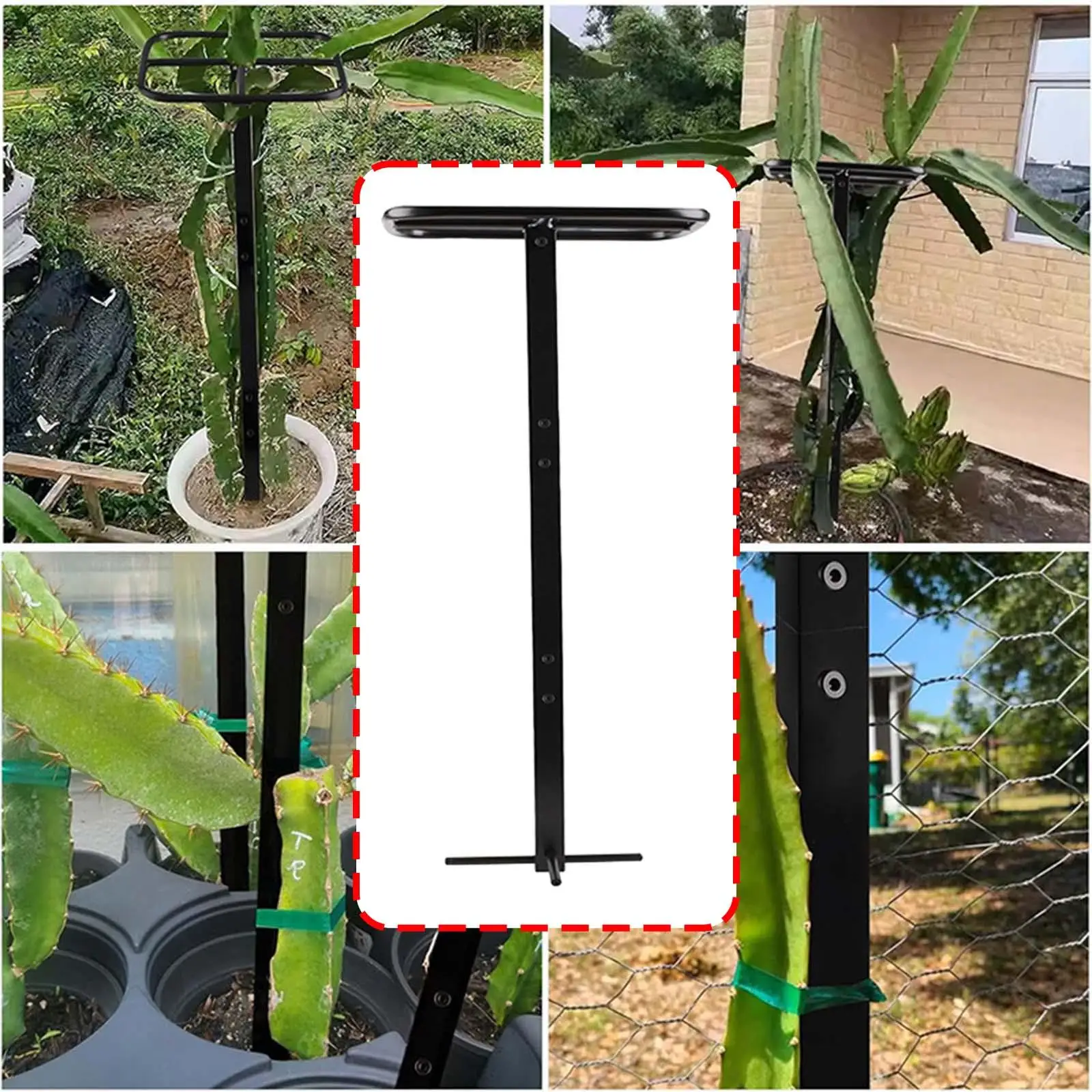 

Dragon Fruit Trellis Multipurpose Easy Assembly Plant Trellis for Potted Plants for Balcony Roses Vegetables Courtyard Fruits
