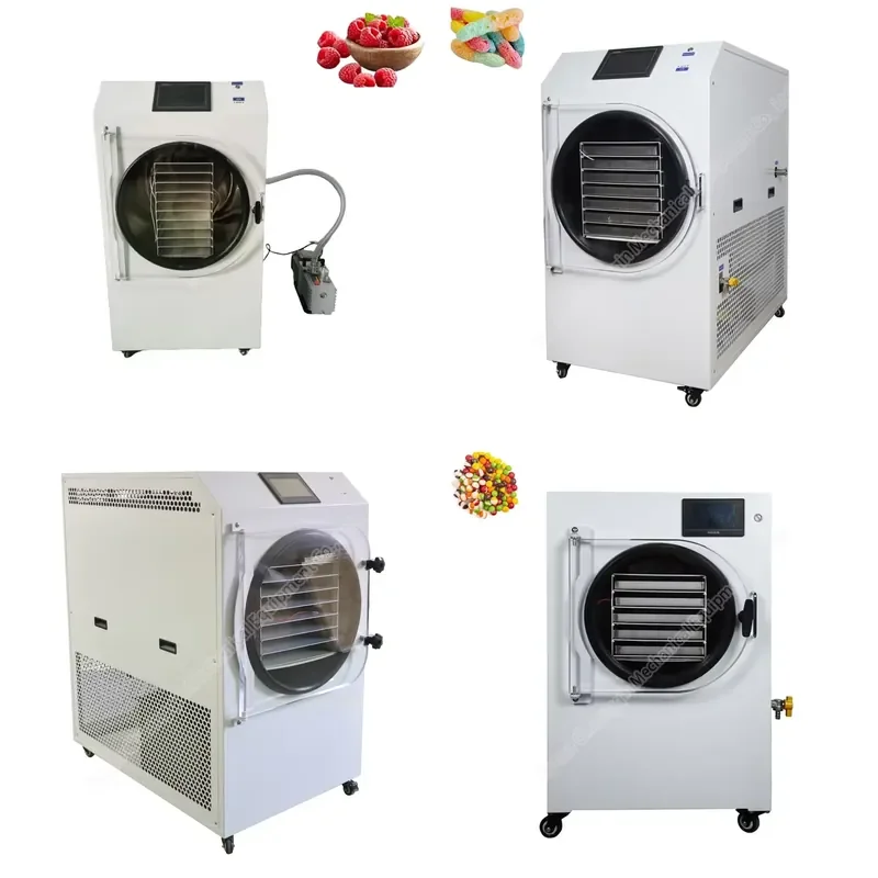 CQ-10 Dryer for Lanphan 10L Lyophilization Drying Machine