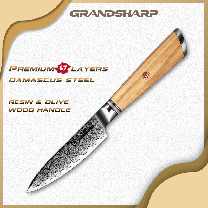 Grandsharp 4 Inch Paring Knife 67 Layers Japanese AUS-10 Damascus Steel Chef Cutting Vegetable Fruit Utility Slicer Gift Box