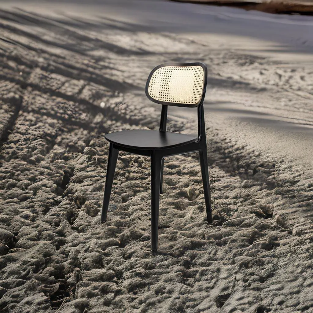 Sedia da pranzo in rattan in legno massello sedia con schienale semplice e moderna per la casa
