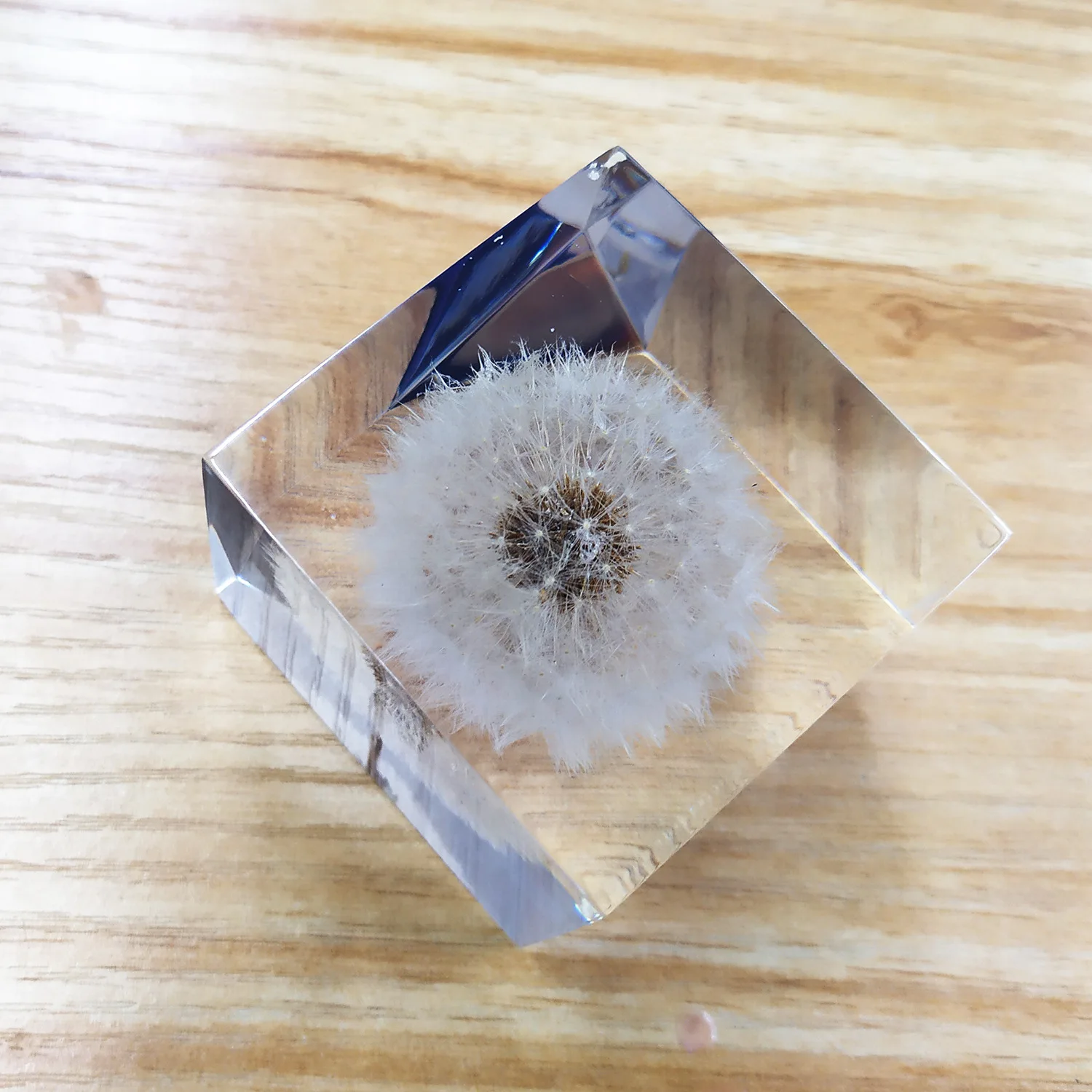 Crystal Glue Handicraft Ornaments Embedded With Dandelion Plant Specimens Immortal Flowers Maple Leaves High Transparency