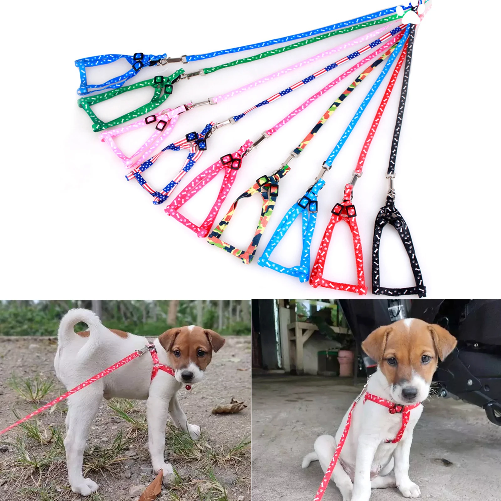 Correa barata para perros pequ - Retractable Dog Leash reseña y precio