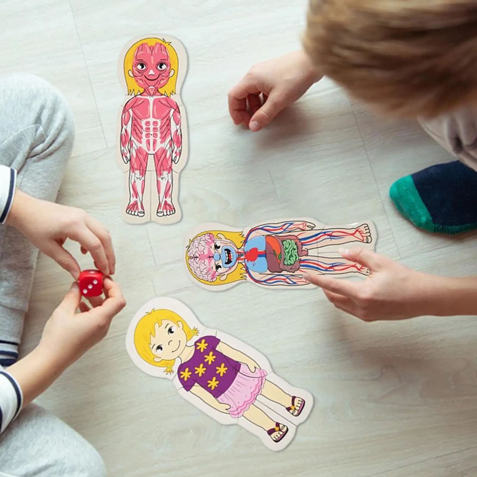 Quebra-cabeça multicamadas de madeira, estrutura do corpo humano, jogo de quebra-cabeça, crianças, meninos, meninas, brinquedos educativos montessori para crianças