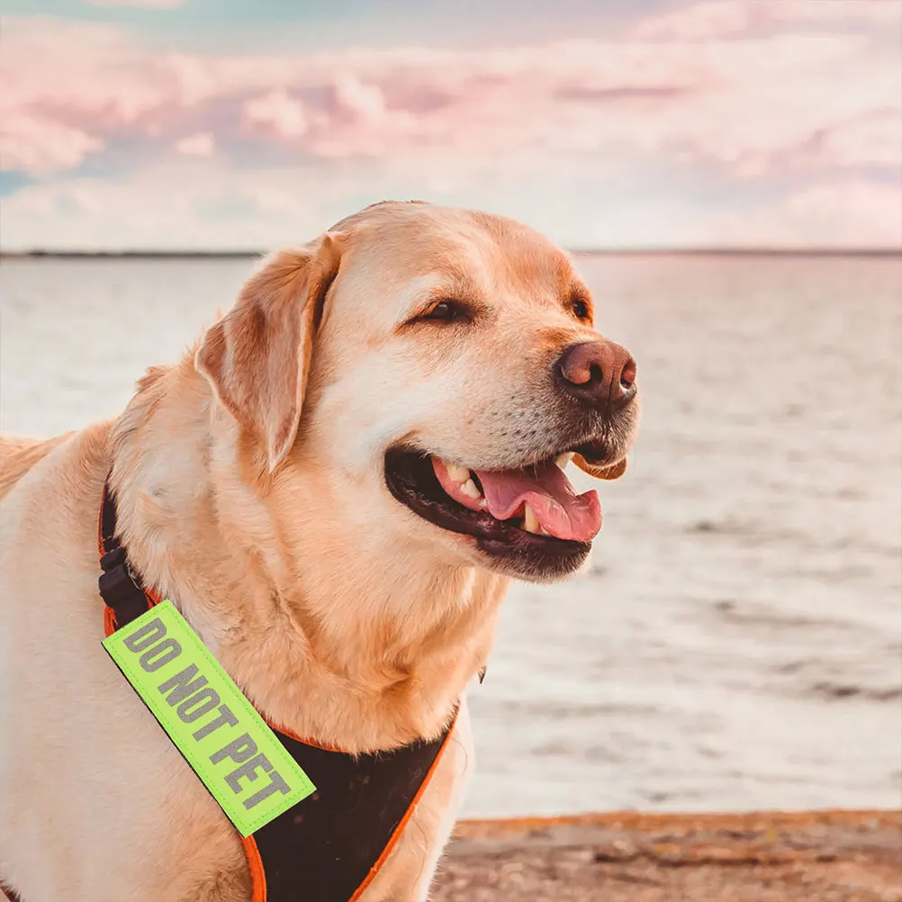 

4Pcs Reflective Service Dog Patches Durable Nylon Dog Harness Patches Night Safety Pet Harness Tags for Room Guy