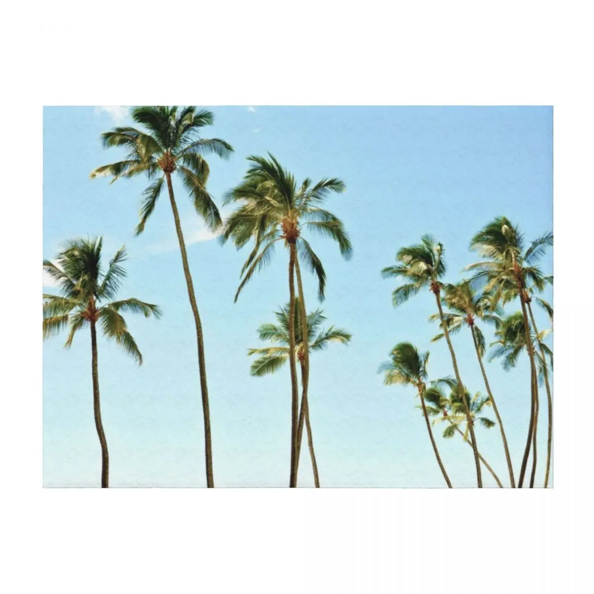 

Tropical Palm Trees Throw Blanket For Sofa Thin Decorative Throw Personalized Gift Blankets
