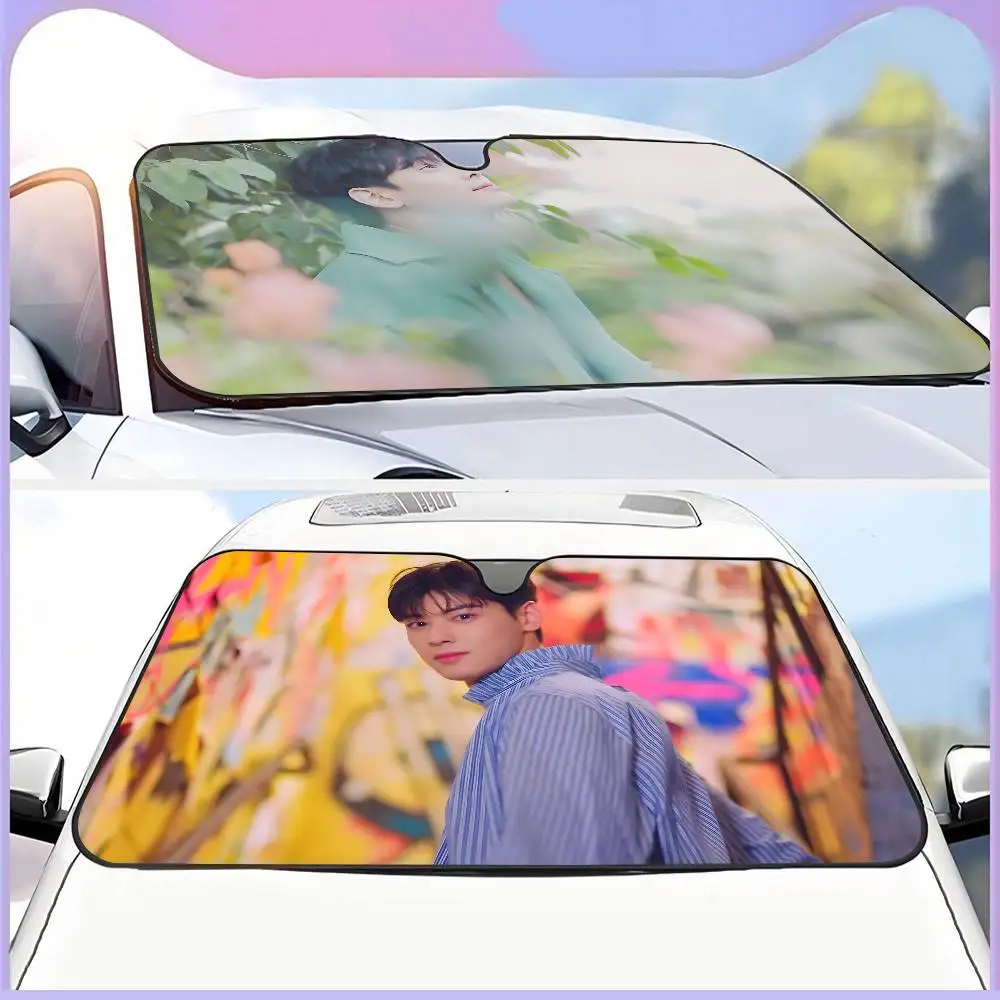 Singer C-Cha EunWooS Car Sun Shade Windshield Foldable Cute Funny Sunshade By Vincent for Car Truck SUV Blocks