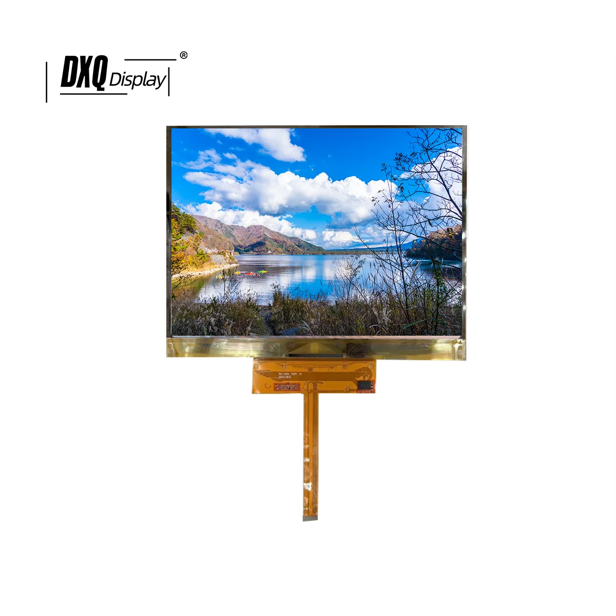 8 Inch Flexible AMOLED Display 430 Nits Brightness (2480*1860 Pixels) Resolution Mipi Interface 40 Pins  with Touch Function