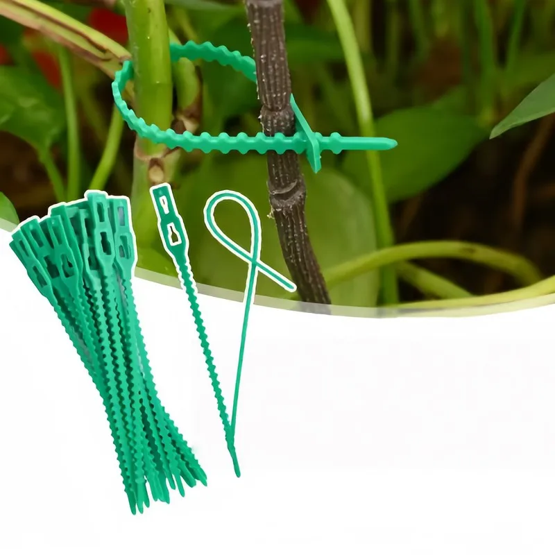 14Pcs13cmReusableFishbone Cable Tie SelfLockAdjustDesignFirmDurable Suitable forGardeningClimbing VineFixingVine、TomatoStem、F
