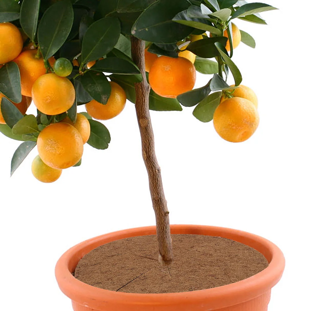 

Control Pad Ring Natural Coir Mulch Mat Eco-Friendly Tree Flower Discs Easy Install Anti-Grass Round Mat