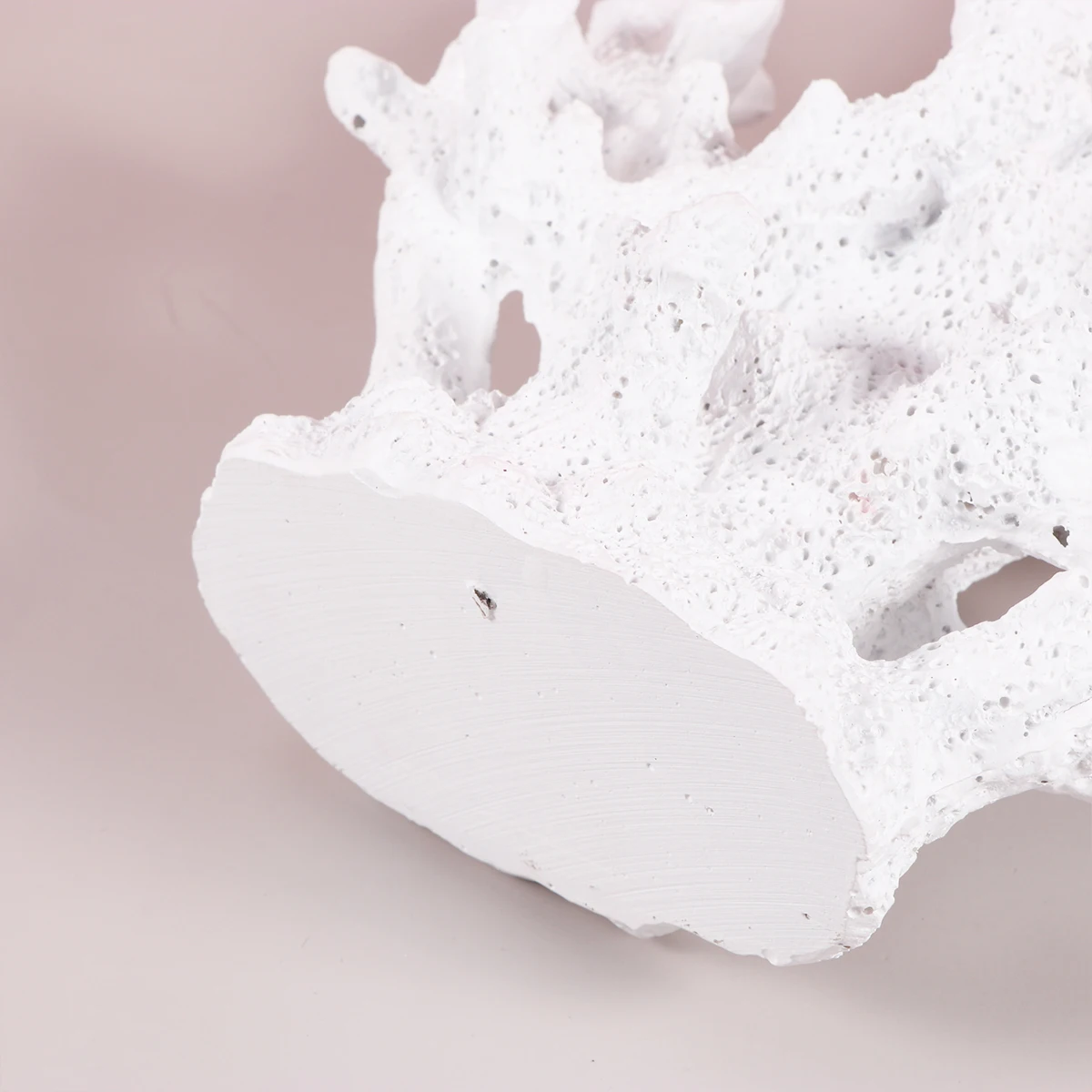 

Artificial White Resin Coral Aquarium Decoration Fish Tank Ornament Lifelike Natural Coral Landscape Safe for Fresh Salt Water