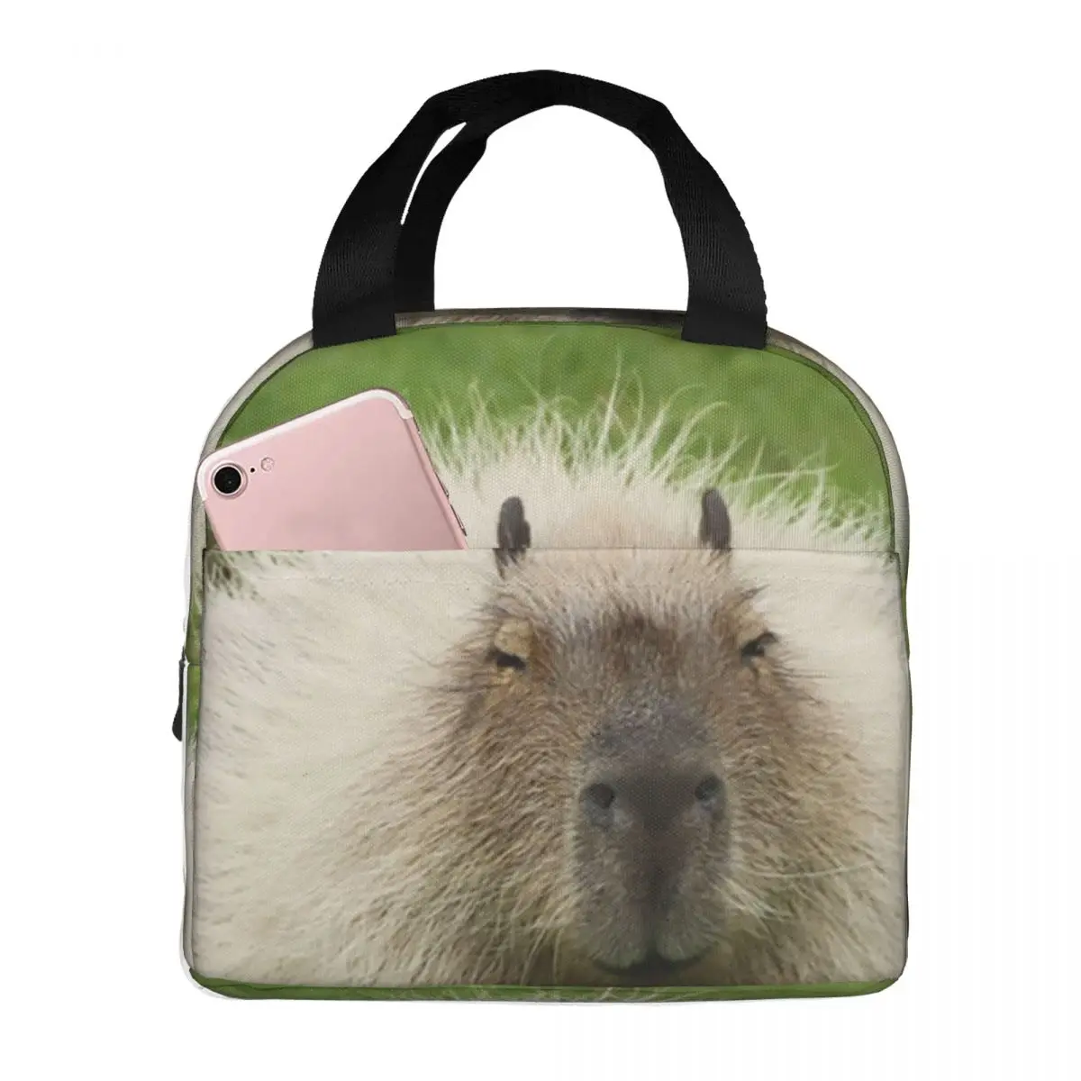 Animal Pet Capybaras Lunch Bag Men Women Thermal Cooler Insulated Lunch Boxes for School