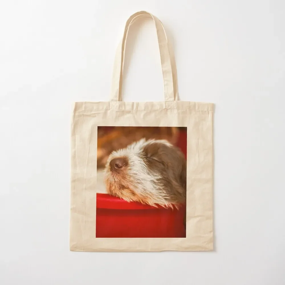 Snoozy Spinone puppy Tote Bag bag luxury women Shopper bags woman 2025 Tote Bag