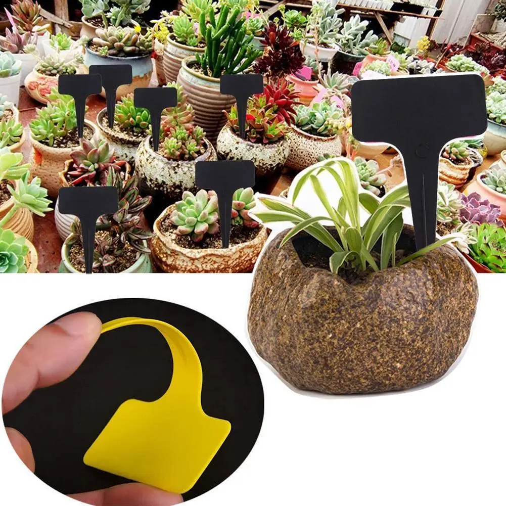 10pcs Colorful Plant Markers Garden Bonsai Succulent Seedings Tags Sign PVC Gardening Labels Stake On Soil Paint Sticks Random