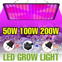 200W Full Spectrum LED Grow Light 100-277V Quantum Board Plant Fill Lamp Greenhouse Tent Vegetable Flower Cultivation Lighting