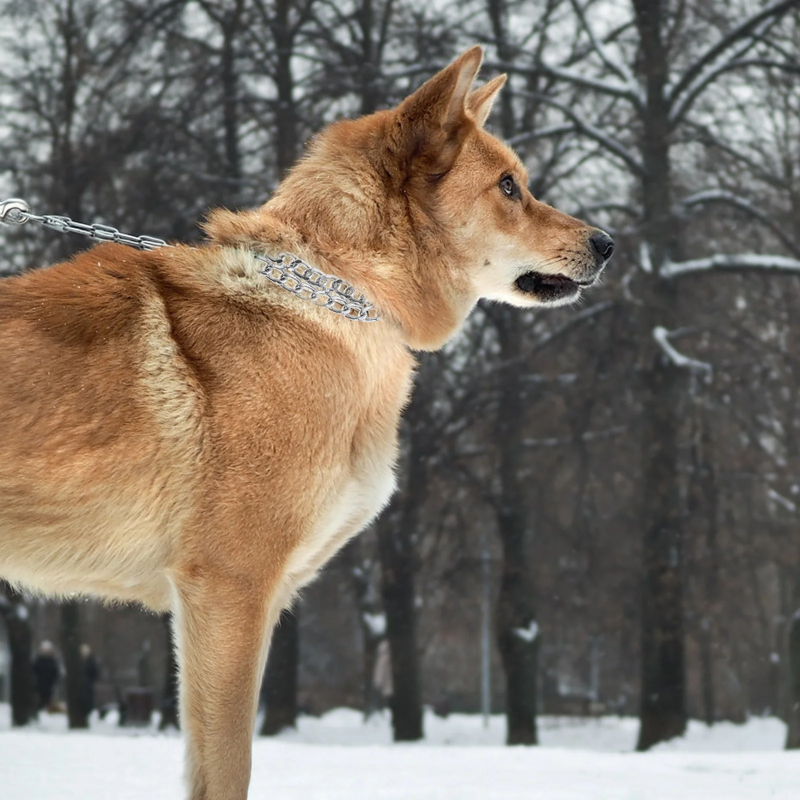 

Adjustable Heavy Metal Chain Dog Double Row Plated Silver 2.0mm X 50Cm Pet P Chock