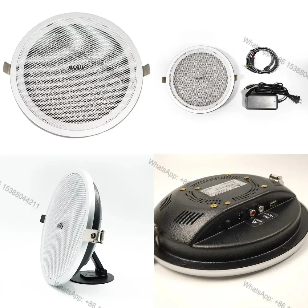Hot Sale Audfly R2 Model Built-in Amplifier Round Directional Speaker
