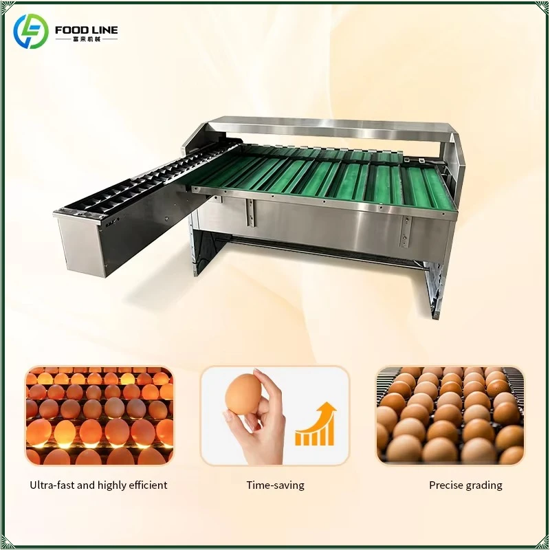 High Precision Multi Sorting Chicken Egg Check Weigher Machine Farm Chicken Egg Weight Sorting Machine FL Customized