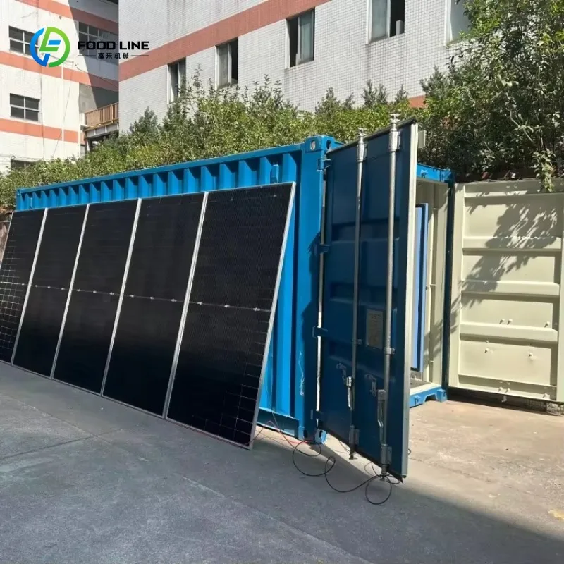 Solar Cold Room Walk in Freezer for Meat Fish Seafood Industrial Commercial Storage Custom