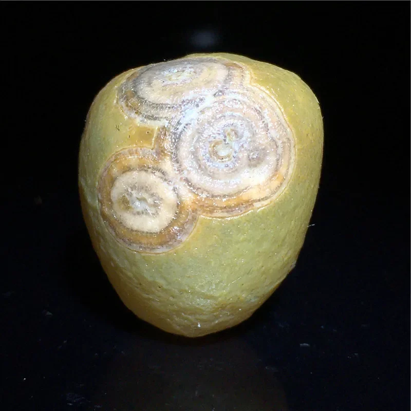 Natural Rare Stone Alashan Gobi Yellow or Old Skin Eye Agate for Palm Handle Play Gobi Agate  Mineral Crystals Specimen