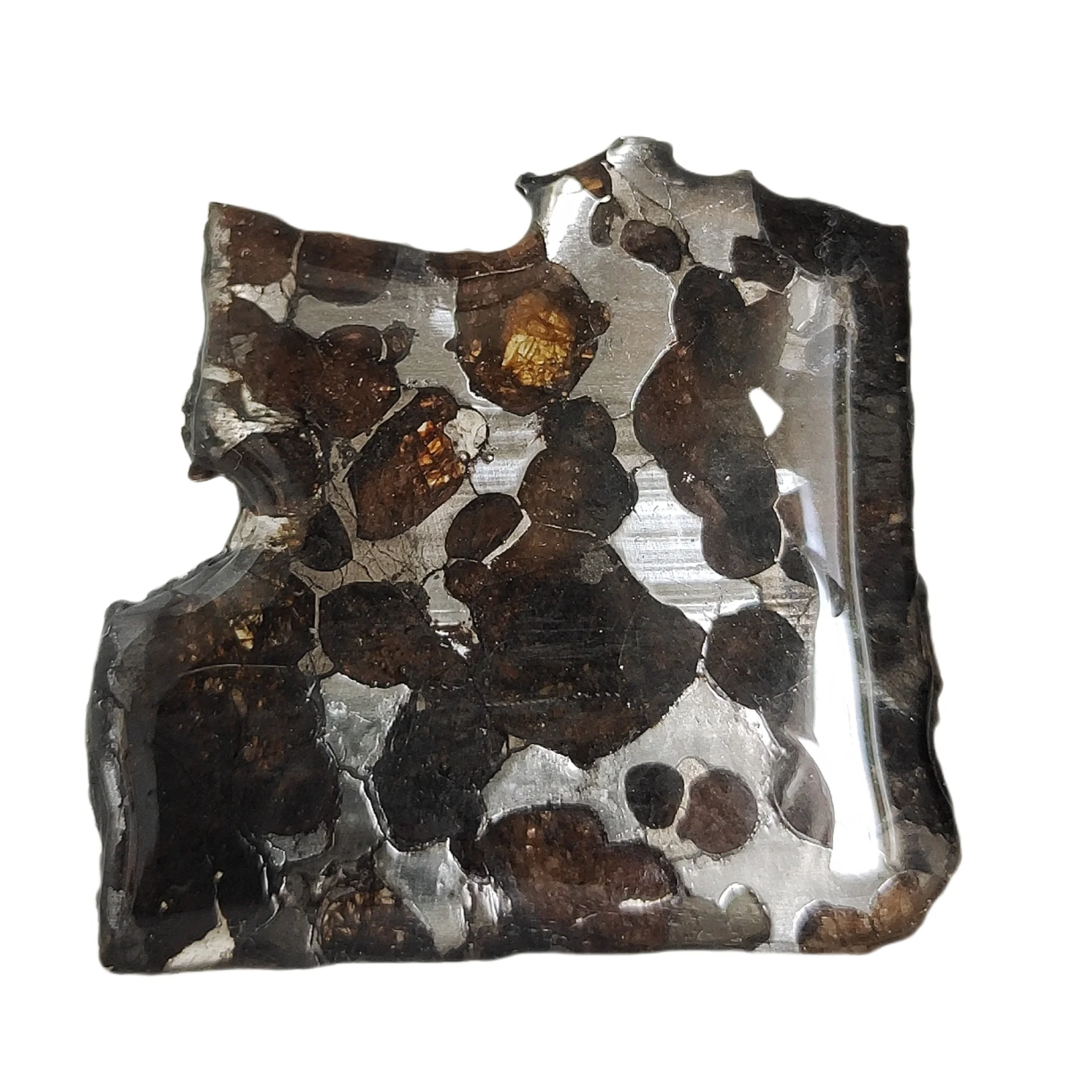 11.7g Sericho Pallastie meteorite slice Olivine Meteorite Natural Specimen Meteorite material Collection - from Kenya -QA535